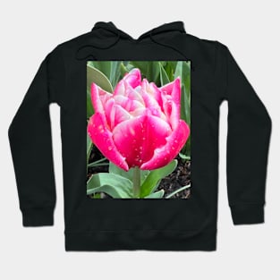 Two Lips Together of the Perfectly Pink Summer Tulip Hoodie